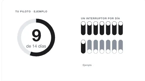 Día 9 de 14: anillo e interruptores, fotograma 12