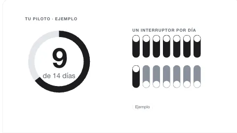 Día 9 de 14: anillo e interruptores, fotograma 24