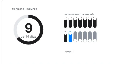 Día 9 de 14: anillo e interruptores, fotograma 40