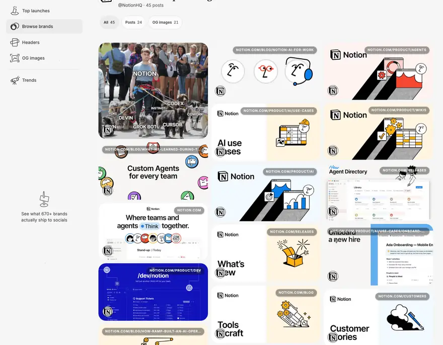 Notion: Publicaciones en redes