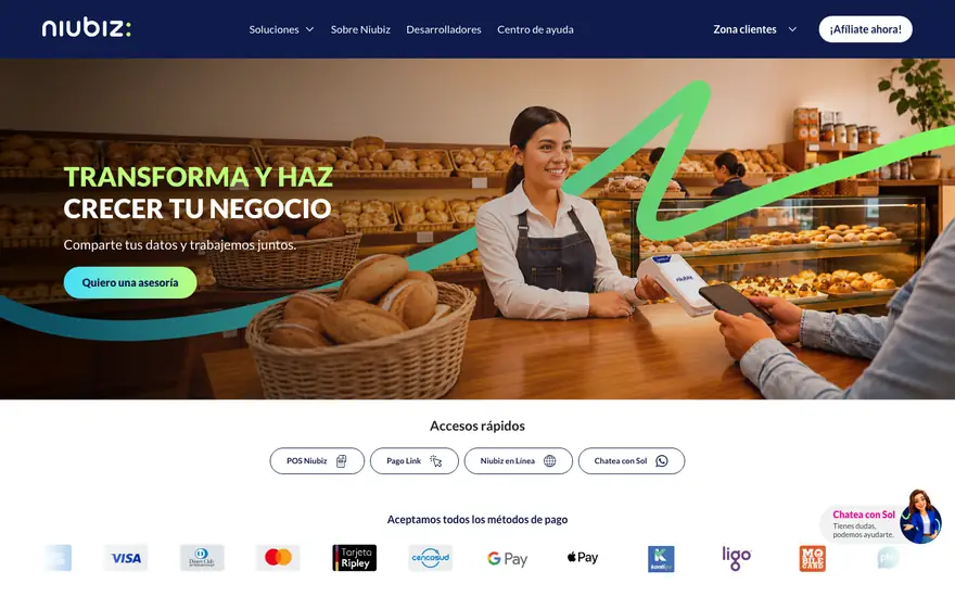Niubiz: Inicio