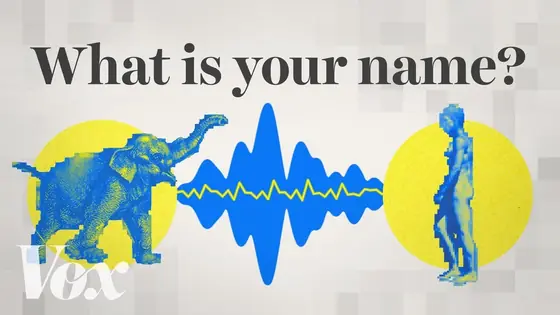 Vox: «What is your name?»